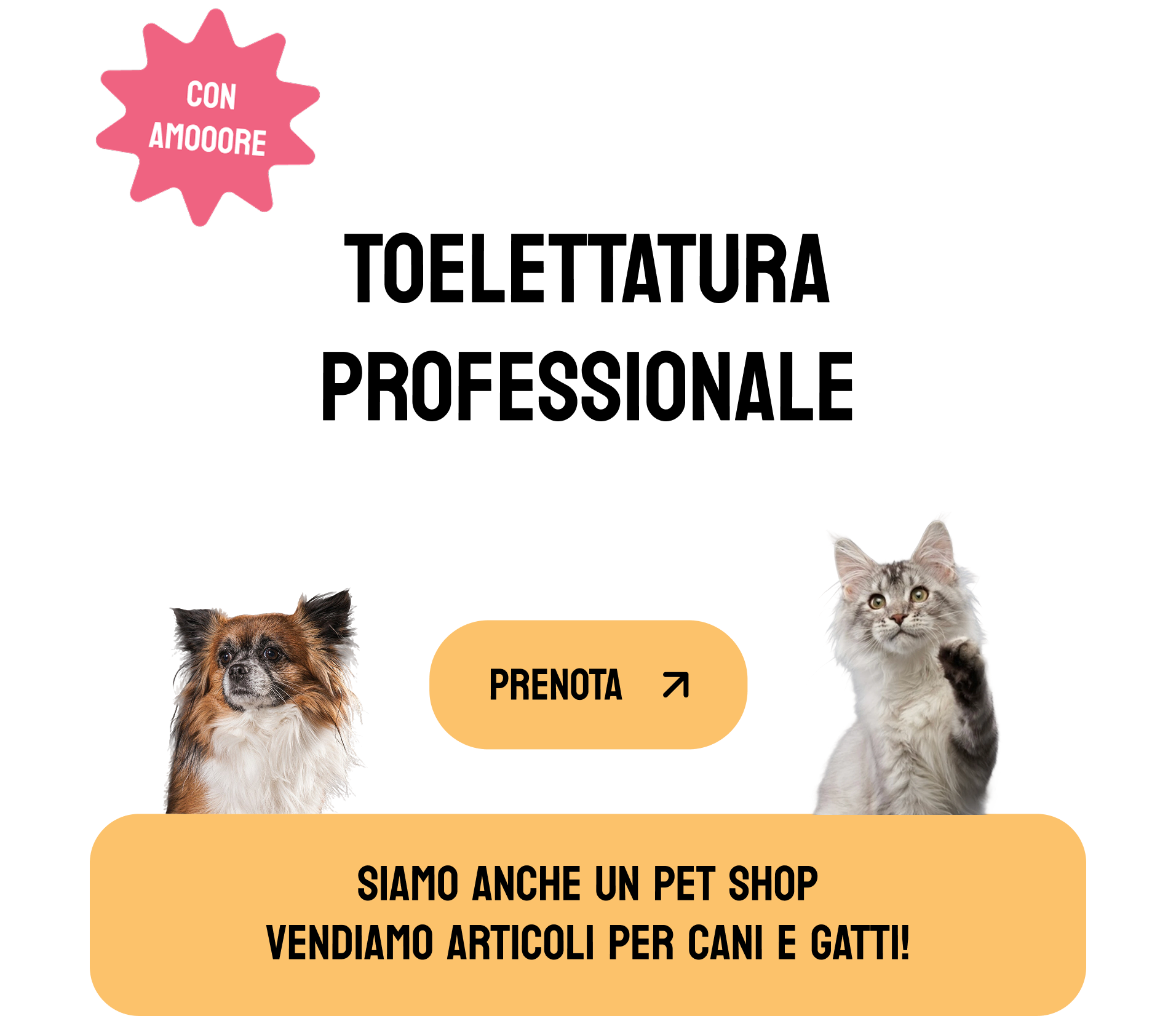 Toelettatura professionale